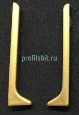 Алюминиевые заглушки для плинтуса Евротрим L-100 комплект золото