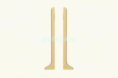 Комплект заглушек ПВХ для плинтуса Евротрим L-100 2157.00 (левая+правая) кмп золото