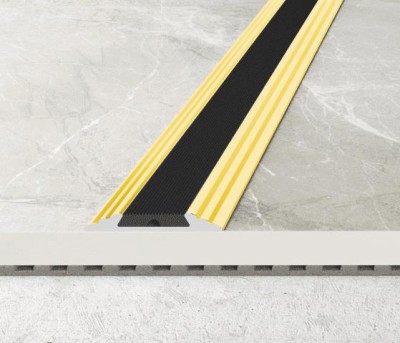 Алюминиевый порог с резиновой вставкой 47 мм Effector A 10-00 Золото 2,7 м