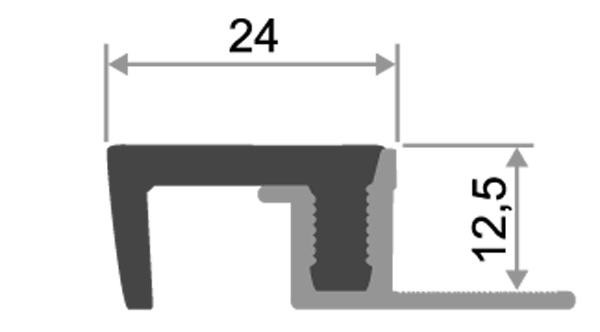 Порог закладной противоскользящий 24х12 мм Евроступень Р Чёрный 2,5 м